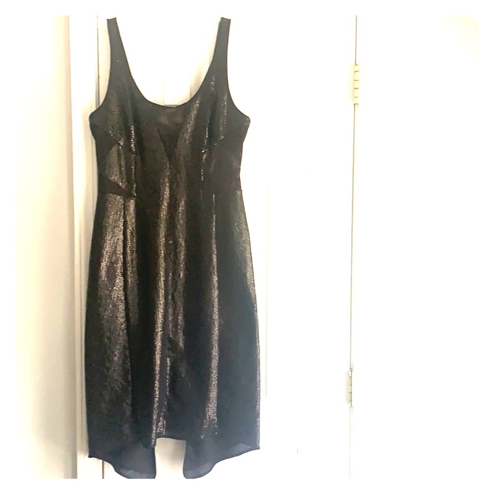 Stunning BCBG illusion dress